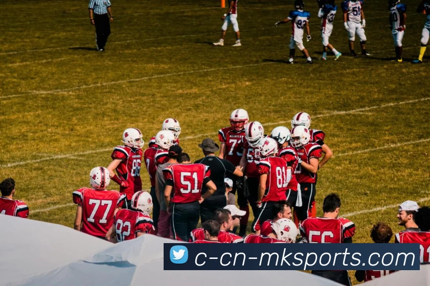 MK体育平台生态图