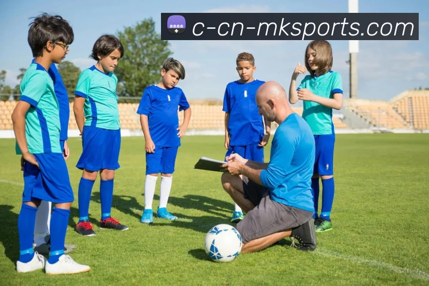 MK体育APP 封面图